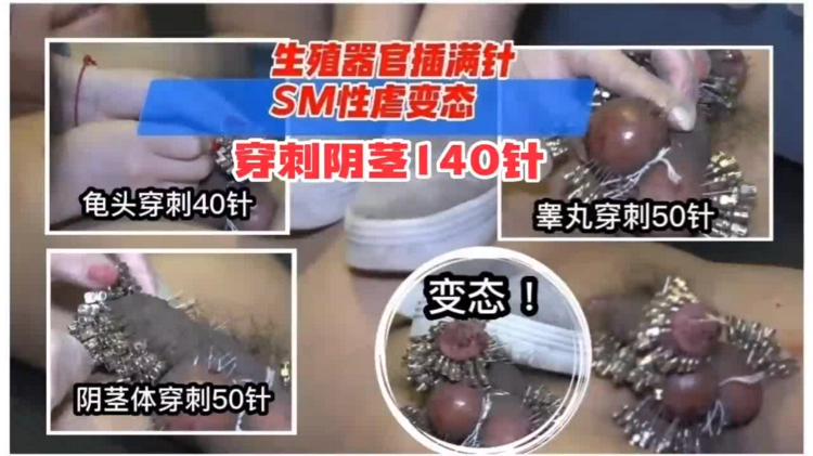 重口变态系列。。胆小勿进，生殖器官被插满针，SM性虐变态穿针140针